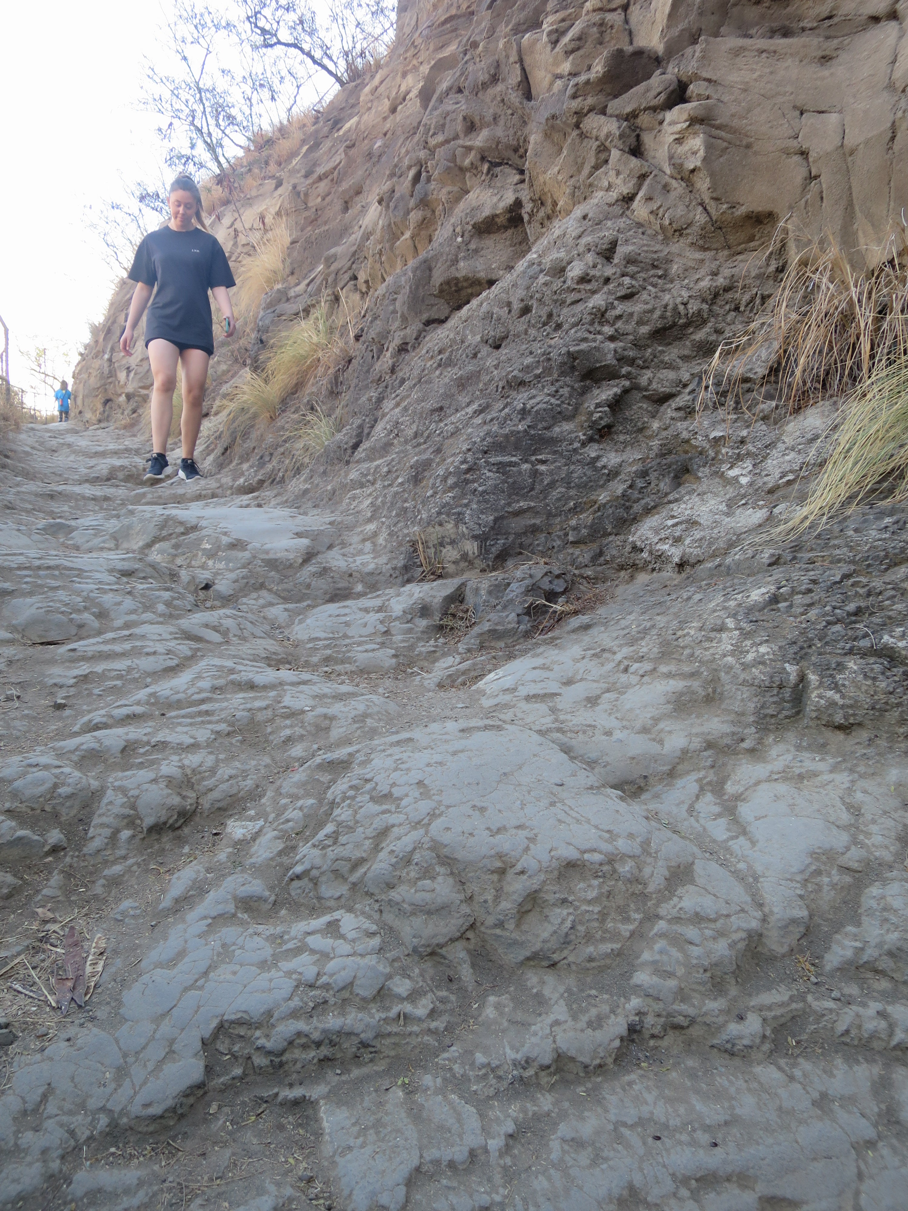 Let Adventure Be Your Compass Tee